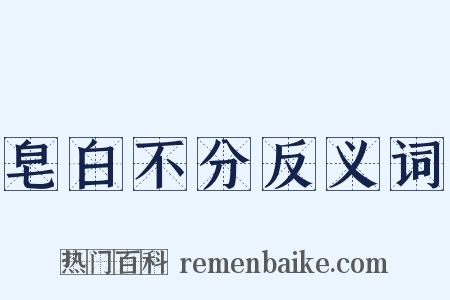 皂白不分反义词是什么意思的图片